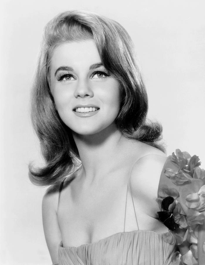 Ann Margret Ca Mid 1960s Photograph By Everett Fine Art America 