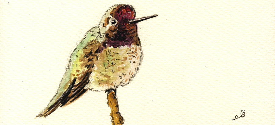 Hummingbird Painting - Anna s Hummingbird #2 by Juan  Bosco
