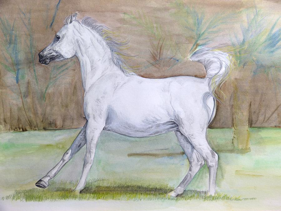 Another arabian horse #2 Painting by Janina  Suuronen