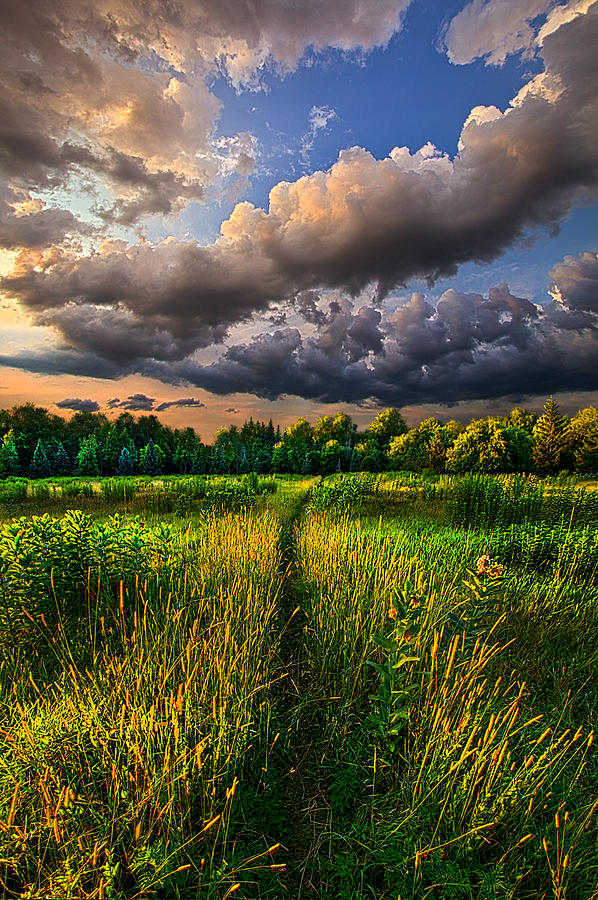 Another Way #2 Photograph by Phil Koch
