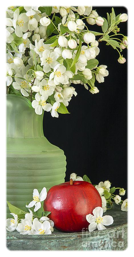 Flower Photograph - Apples #2 by Edward Fielding