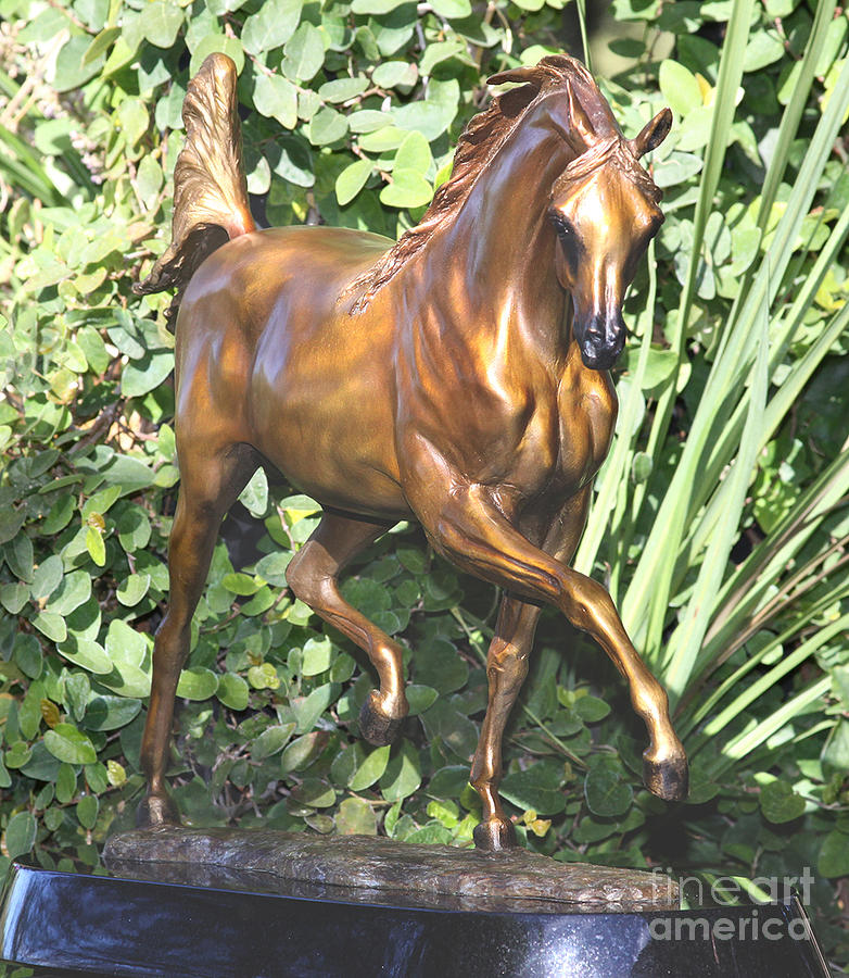 SOLD ...Arabian Dream - Arabian Horse Bronze Sculpture Sculpture by J Anne Butler