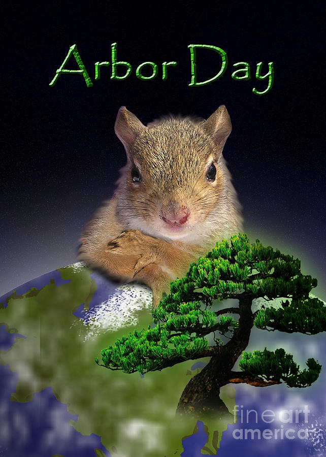 Nature Photograph - Arbor Day Squirrel #2 by Jeanette K