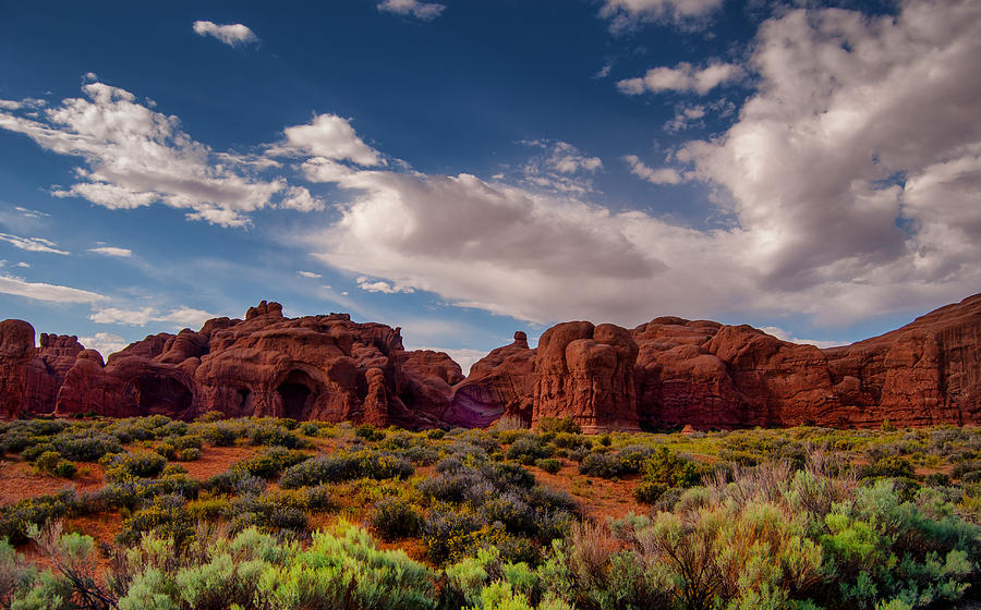 Arches National Park #2 Photograph by Sandra Selle Rodriguez