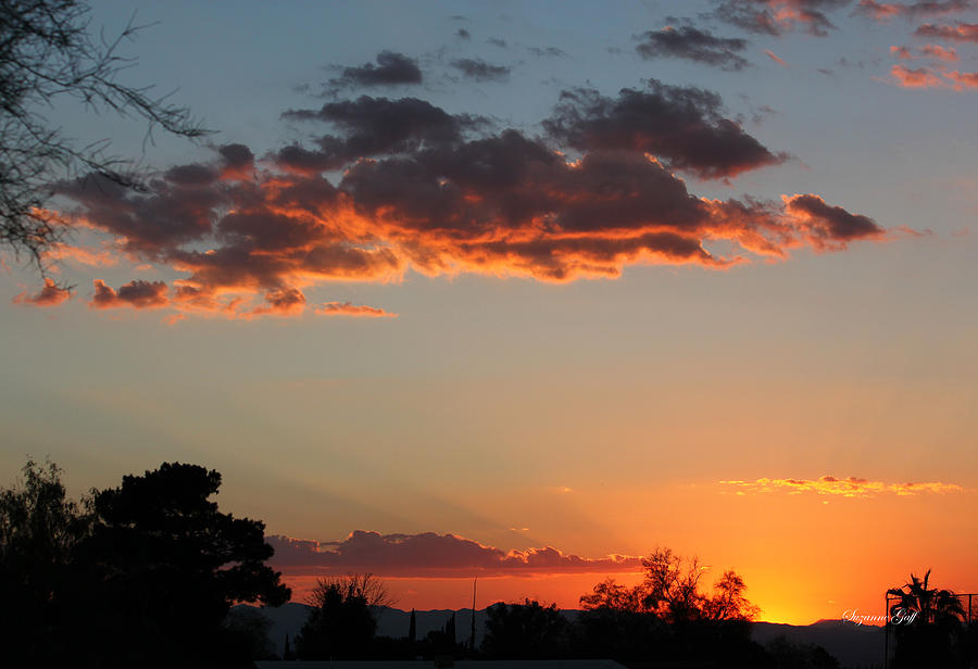 Arizona Sunset III #2 Photograph by Suzanne Gaff