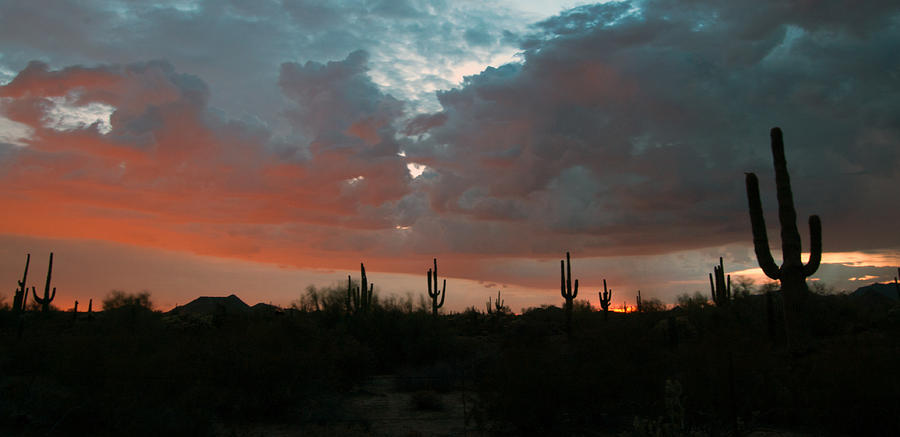 Arizona Sunset #2 Photograph by Tam Ryan