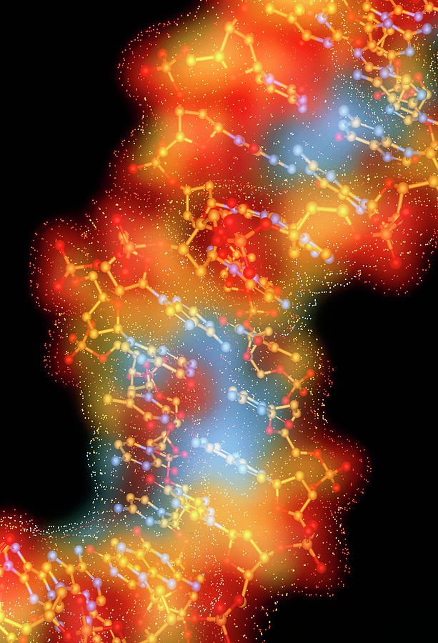 Artwork Of Dna Photograph by Alfred Pasieka/science Photo Library
