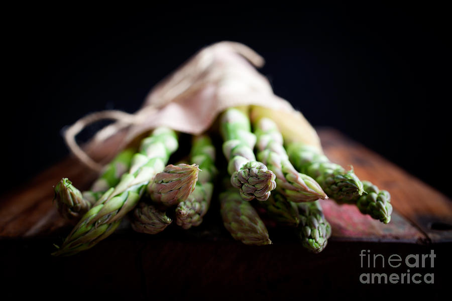 Asparagus #2 Photograph by Kati Finell