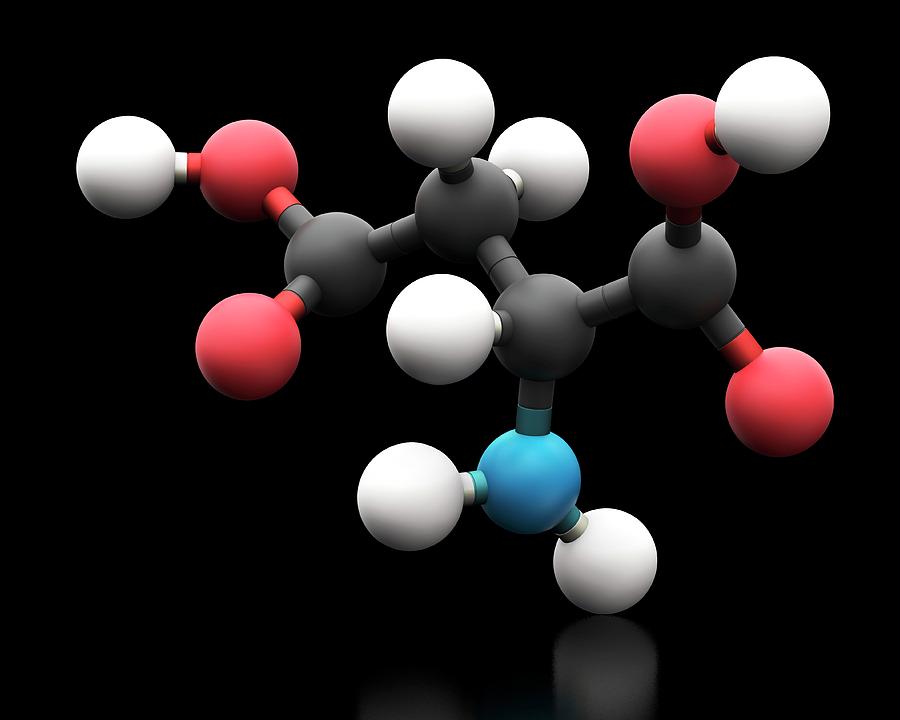 Aspartic Acid Amino Acid Molecule Photograph by Carlos Clarivan/science ...