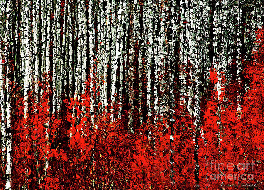 Abstract Photograph - Aspen Forest by Barbara D Richards