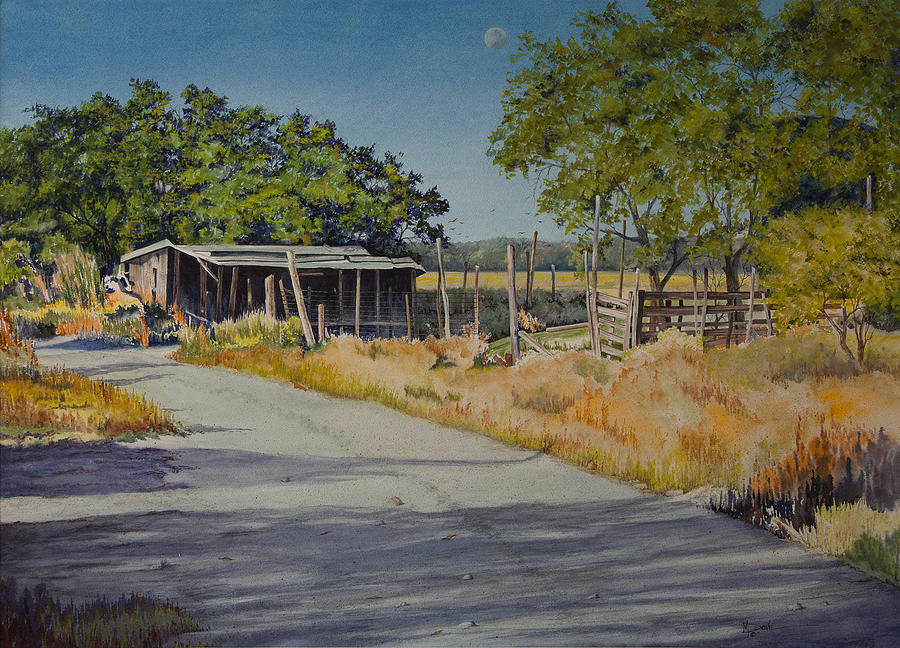 Austin Back Country Painting by Mary Dove