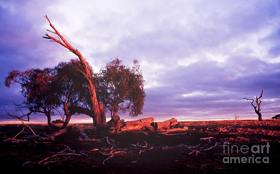 Australian Landscape #2 Photograph by THP Creative