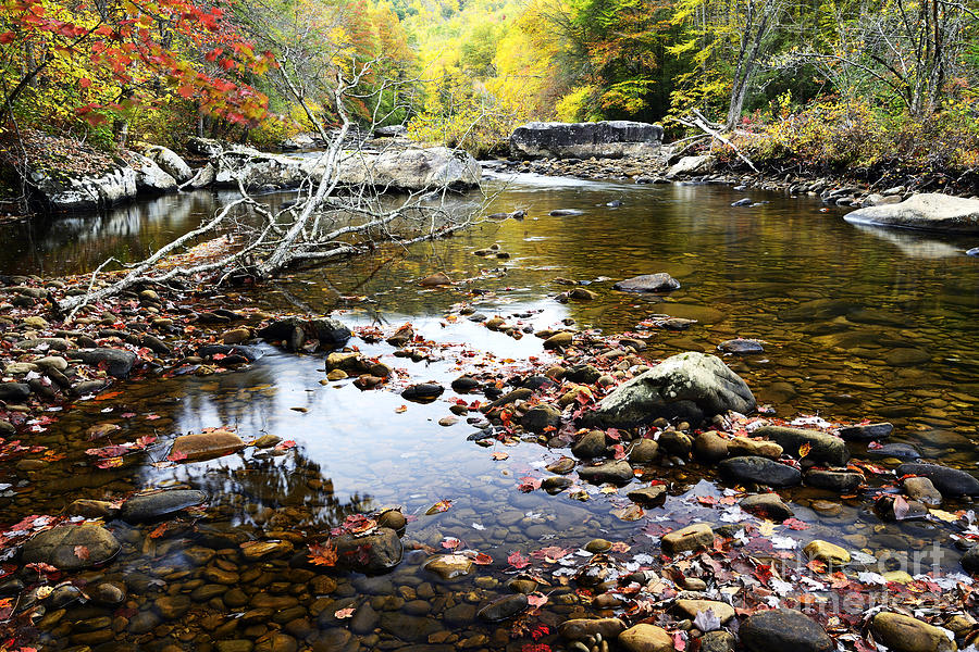 Autumn along Cranberry River #2 Photograph by Thomas R Fletcher