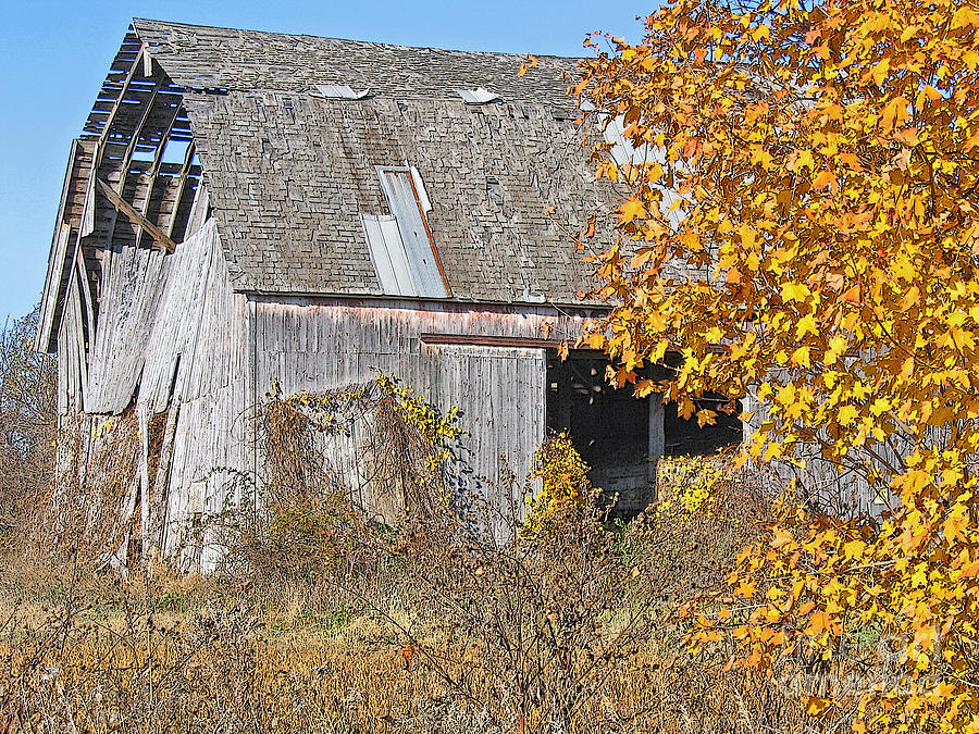 Autumn Barn Photograph by Ann Horn