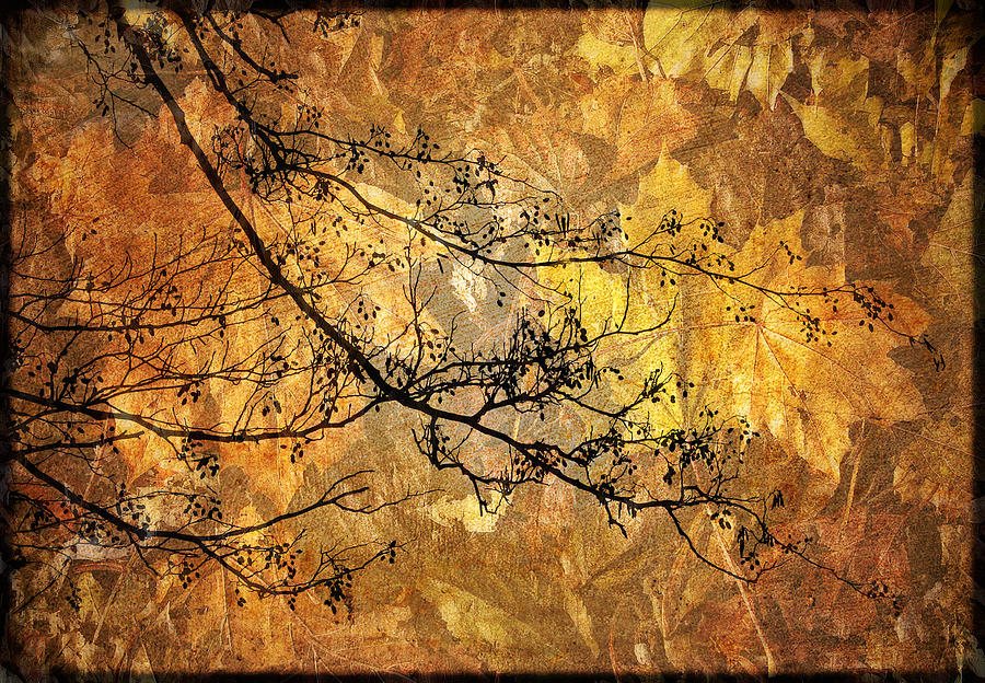 Autumn Collage #1 Photograph by Jessica Jenney