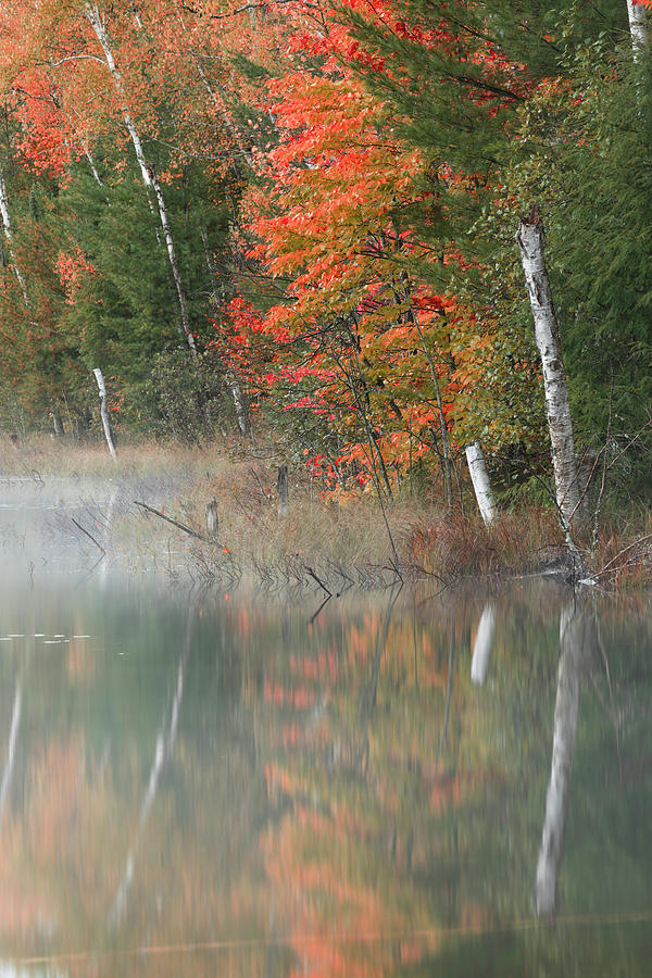 Adam Jones Photograph - Autumn Colors And Mist On Council Lake #2 by Adam Jones