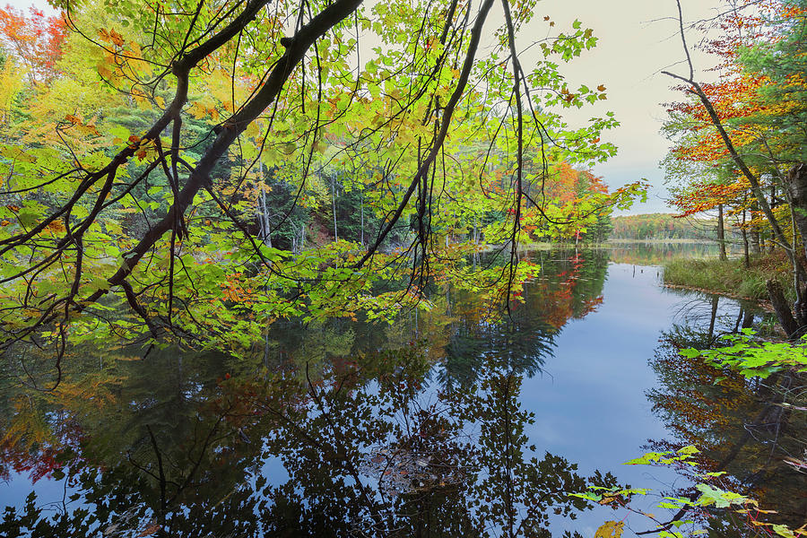 Adam Jones Photograph - Autumn Colors And Mist Reflecting #2 by Adam Jones