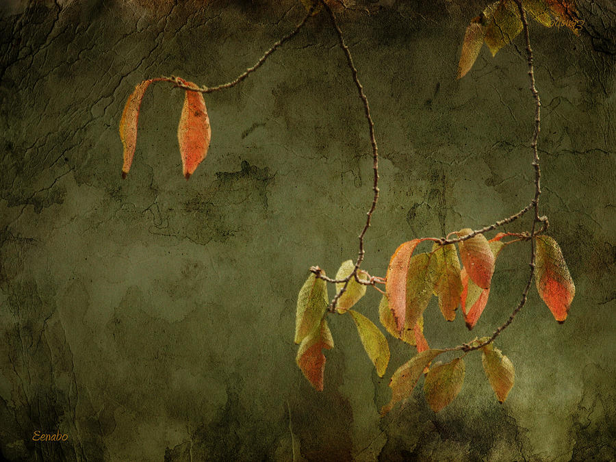 Autumn Colours #3 Photograph by Eena Bo