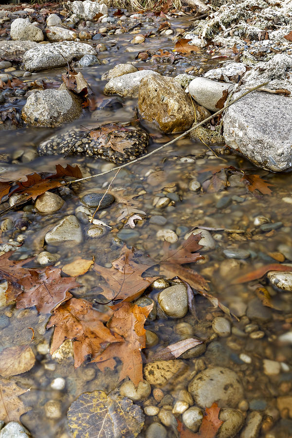 Autumn Creek #2 Photograph by Peter Lakomy