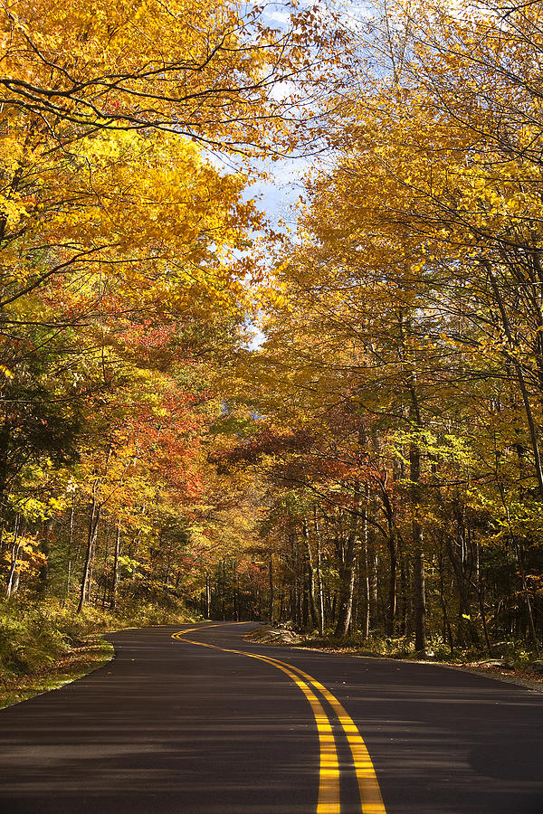 Autumn Drive Photograph by Andrew Soundarajan | Fine Art America