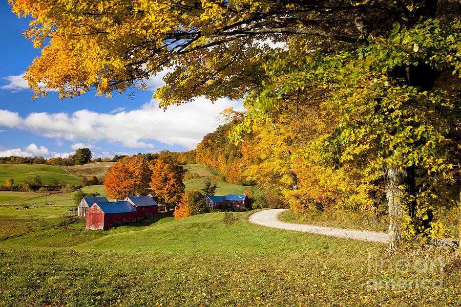 Autumn Farm - New England Photograph by Brian Jannsen