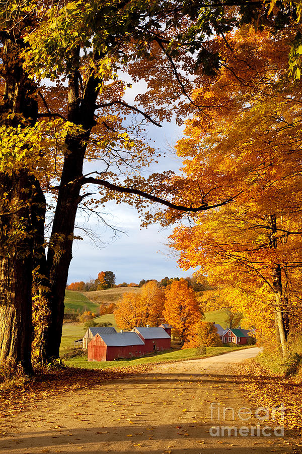Autumn Farm in Vermont #1 Photograph by Brian Jannsen