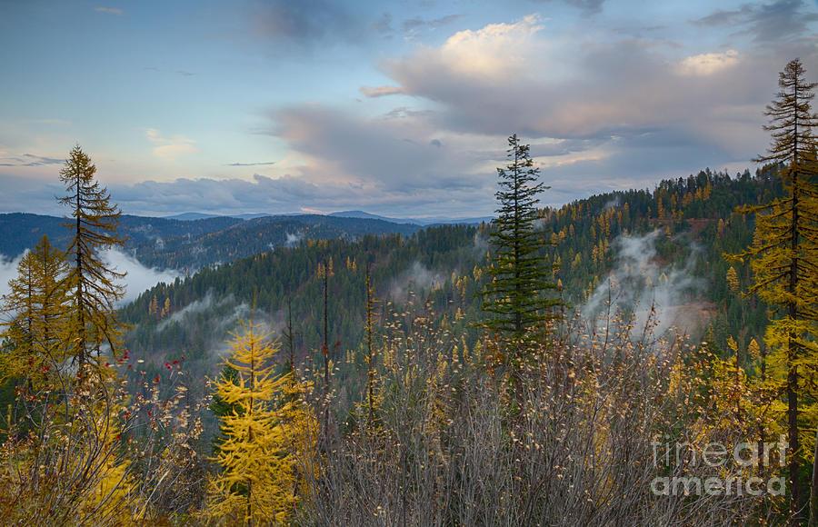 Fall Photograph - Autumn Forest #2 by Idaho Scenic Images Linda Lantzy