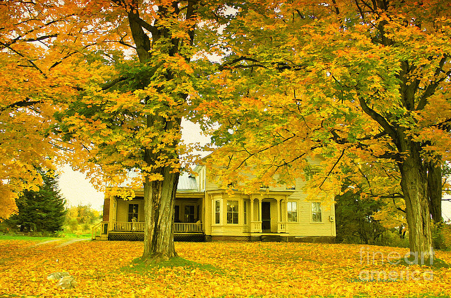 Autumn in Franklin #1 Photograph by Deborah Benoit