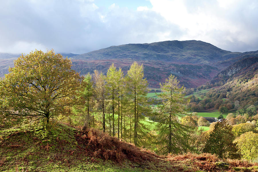 Autumn In The English Lake District - #2 Photograph by Stephen Dorey