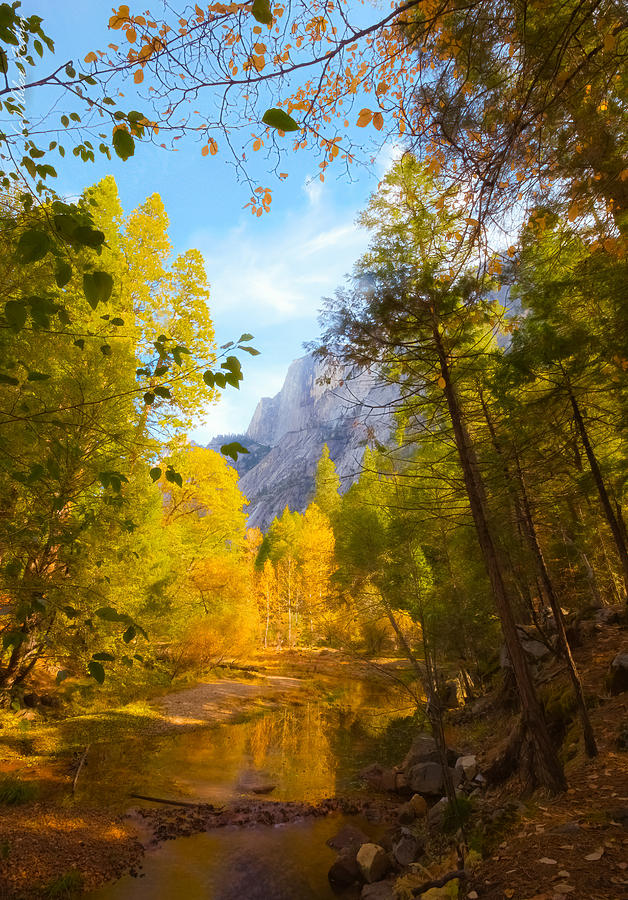 Autumn in Yosemite #2 Photograph by Alexander Fedin