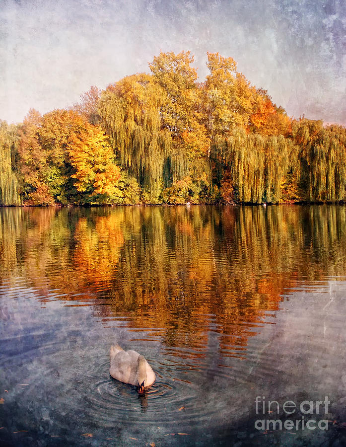 Autumn #2 Photograph by Justyna Jaszke JBJart