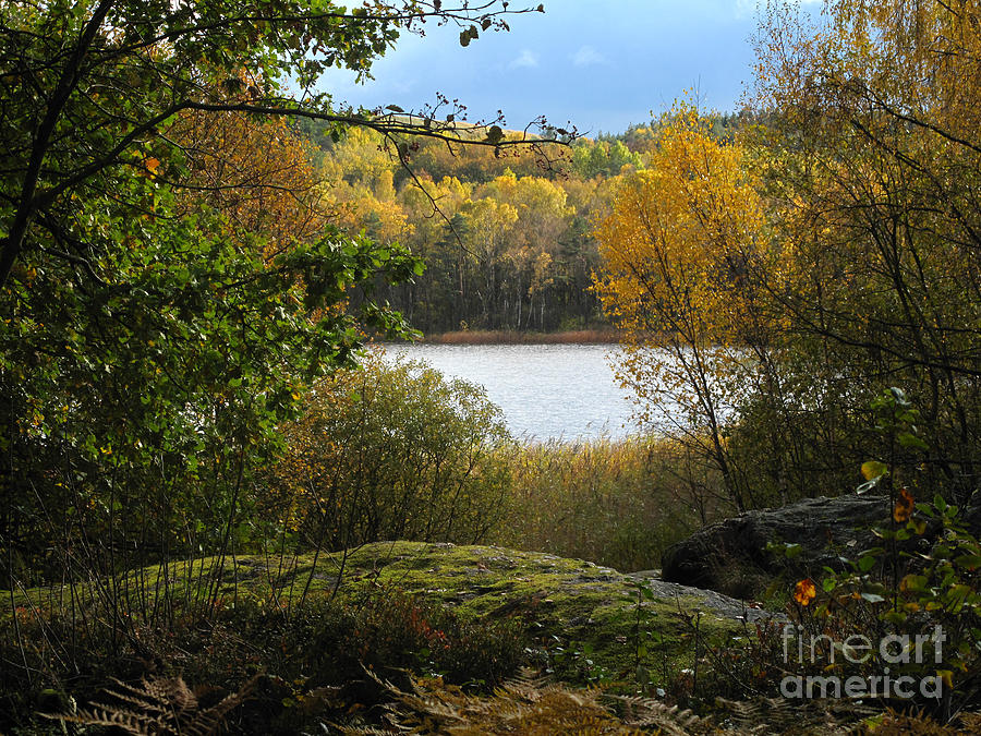 Autumn Lake View Photograph by Lutz Baar