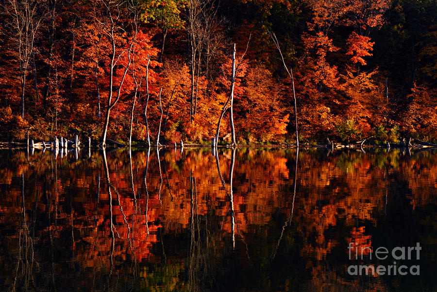 Autumn Reflections #2 Photograph by Larry Ricker