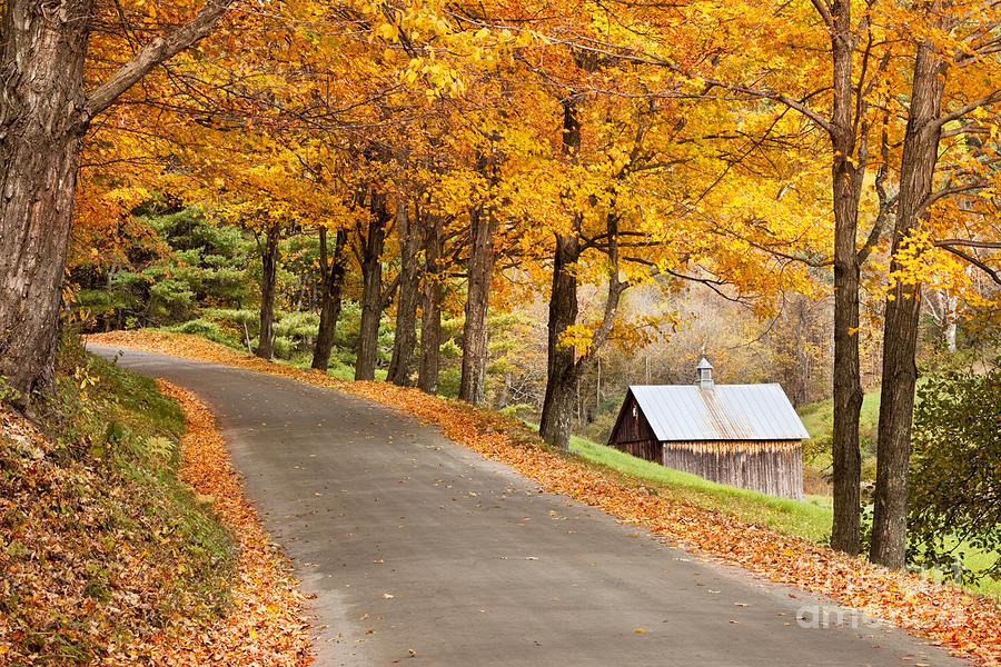 Autumn Road #2 Photograph by Brian Jannsen