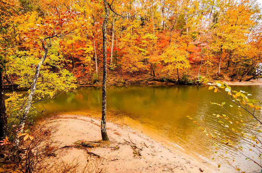 Autumn Season At A Lake #2 Photograph by Alex Grichenko