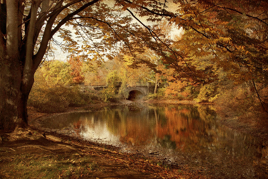 Autumn Serenity #1 Photograph by Jessica Jenney