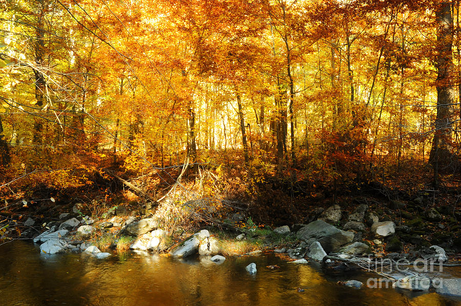 Autumn Stream #1 Photograph by HD Connelly