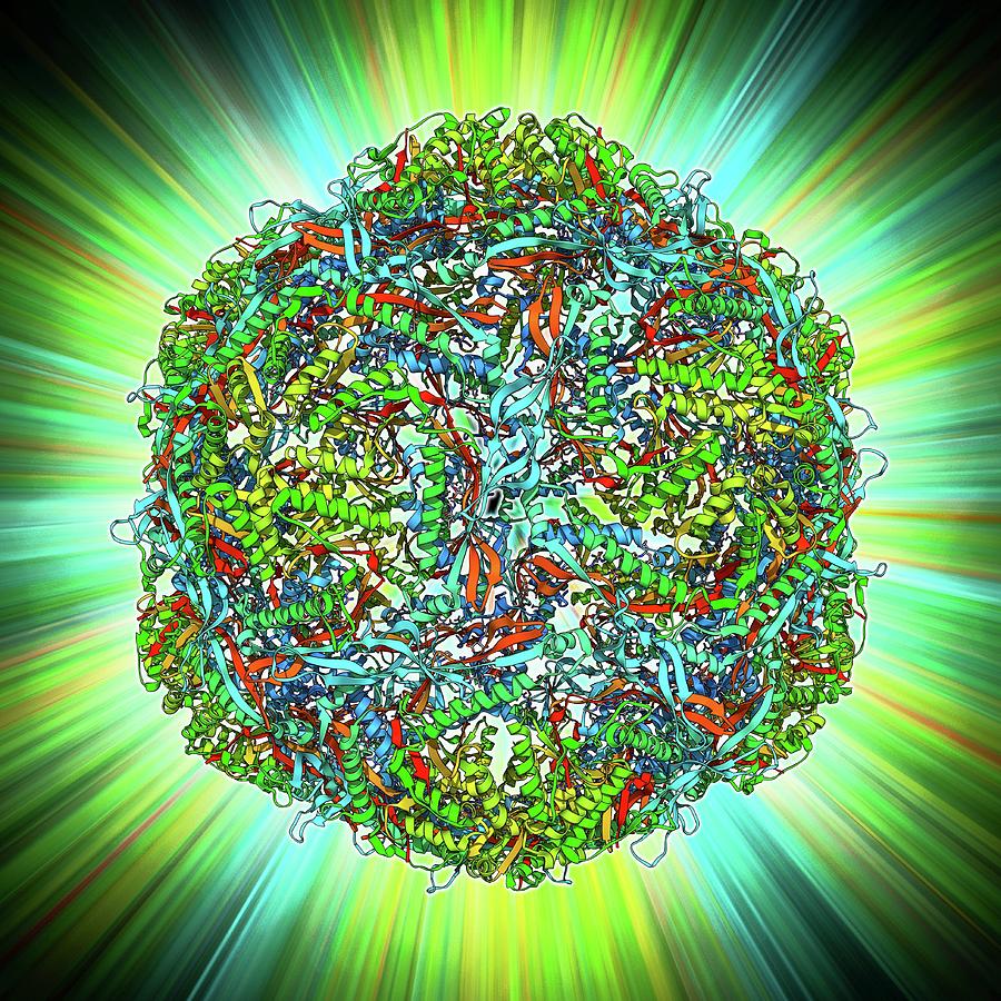 Alpha Helix Photograph - Bacterial Nanocompartment #2 by Laguna Design
