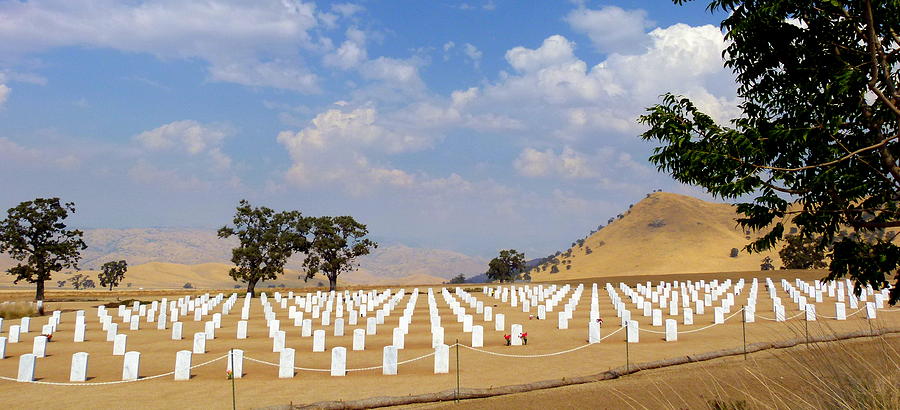 Bakersfield National Veterans Cemetery  #2 Photograph by Jeff Lowe