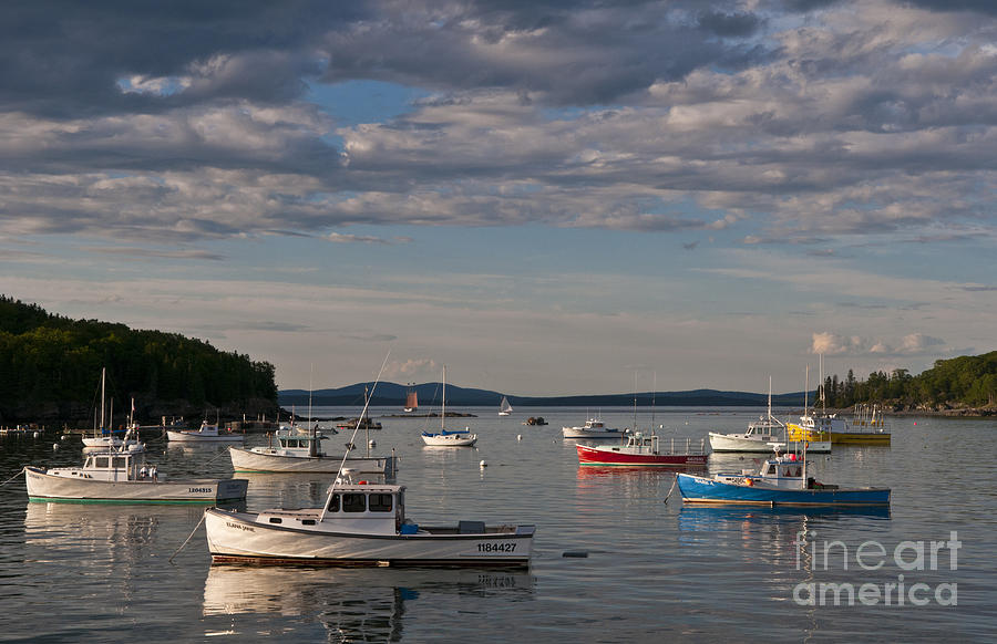 Bar Harbor, Maine #2 Photograph by Bill Bachmann