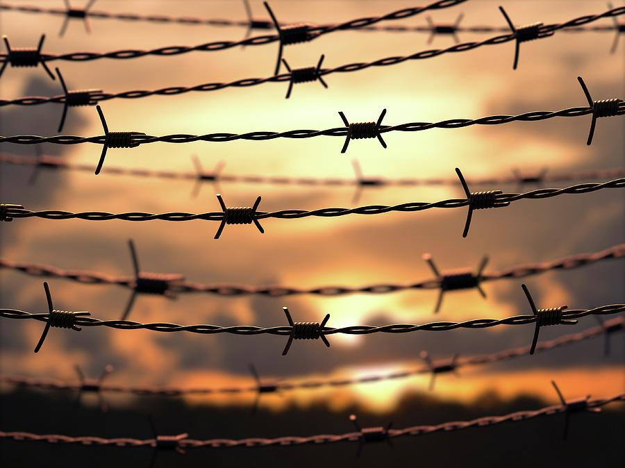 Barbed Wire #2 Photograph by Ktsdesign