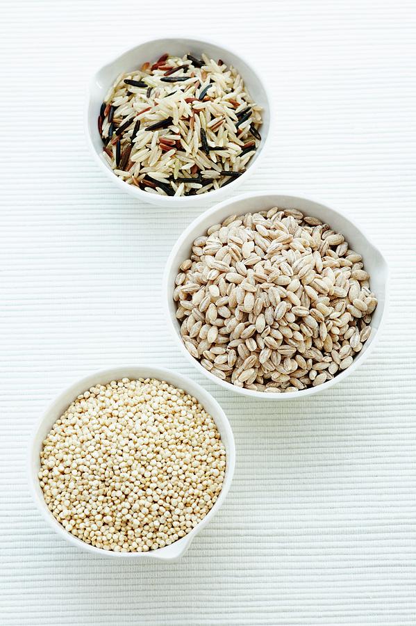 Barley #2 Photograph by Science Photo Library Barley #2 Photograph by Science Photo Library