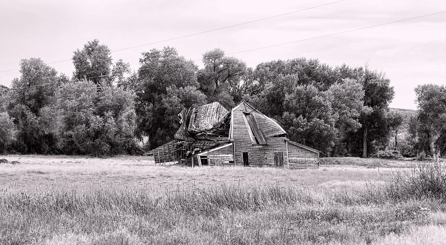 Barn Falling in Wyoming Photograph by Cathy Anderson