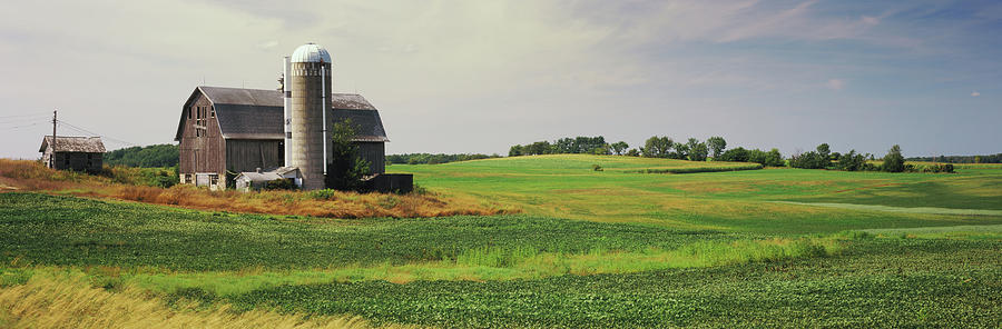 Barn In A Field, Wisconsin, Usa #2 Photograph by Panoramic Images
