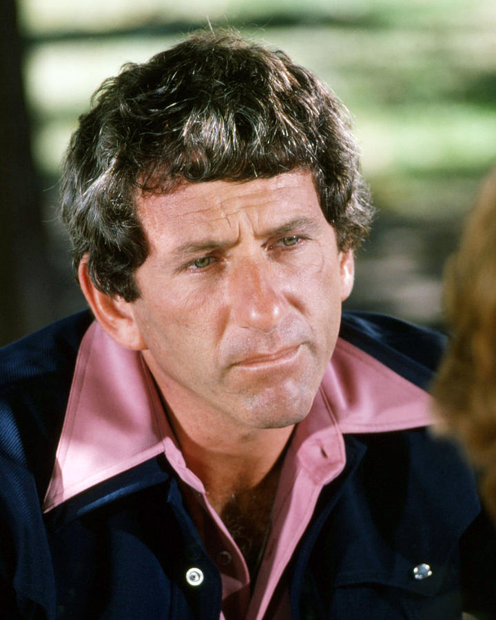 Barry Newman in Petrocelli  #2 Photograph by Silver Screen