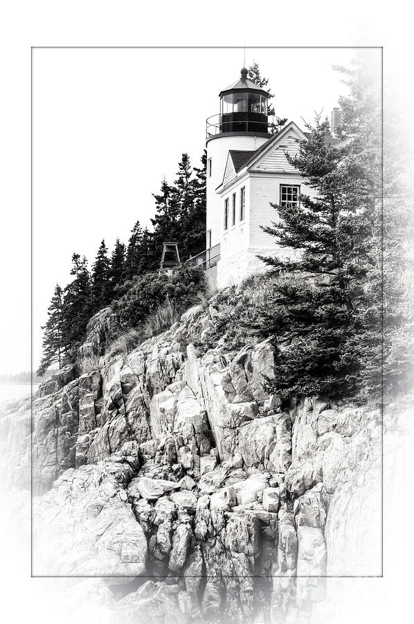 Bass Harbor Light in Black and White Photograph by David Birchall