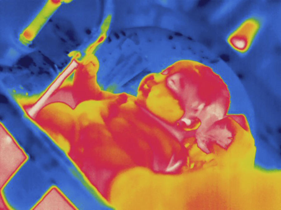 Bathing Infant, Thermogram #2 Photograph by Science Stock Photography