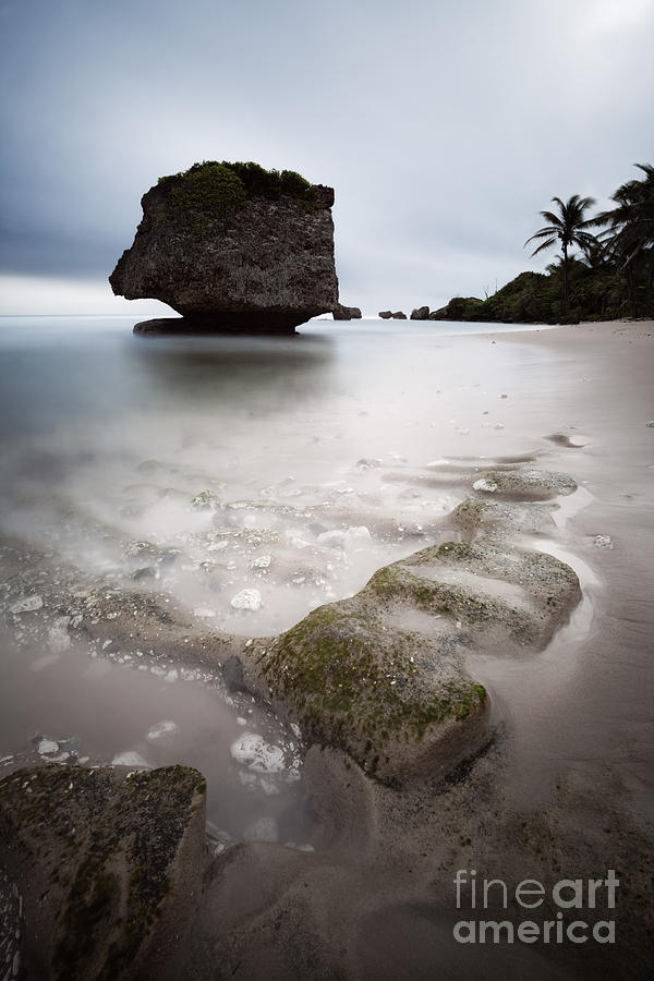 Bathsheba beach - Barbados #2 Photograph by Matteo Colombo