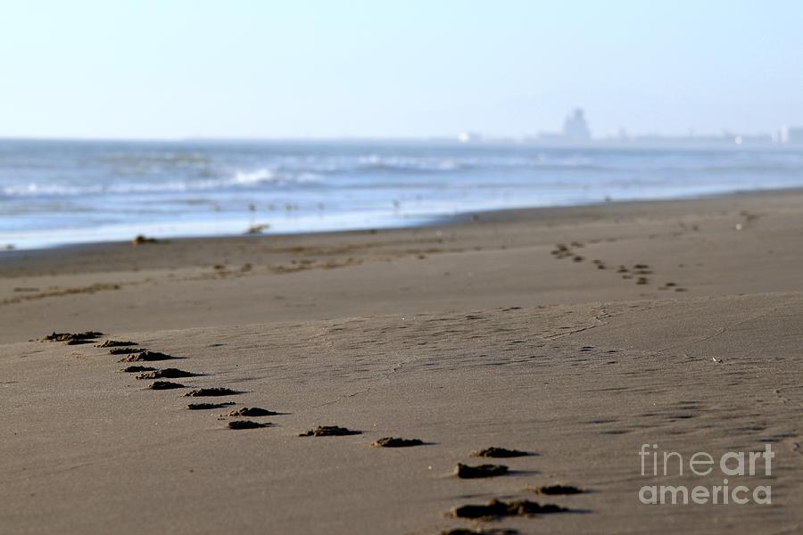 Beach Footsteps #2 Photograph by Henrik Lehnerer