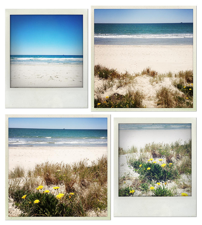 Flower Photograph - Beach memories #2 by Les Cunliffe